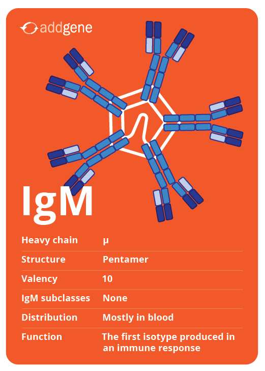 IGM异型交易卡